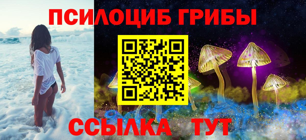Псилоцибиновые грибы MAGIC MUSHROOMS Кострома