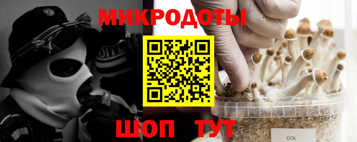 Галлюциногенные грибы Magic Shrooms  Вход с VPN  купить закладку  Кострома  Псилоцибиновые грибы Cubensis 