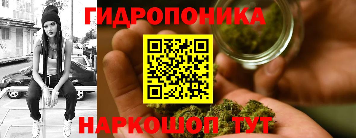 МАРИХУАНА семена  Бошки марихуана гибрид  Вход с VPN  Каннабис Amnesia  Кострома 